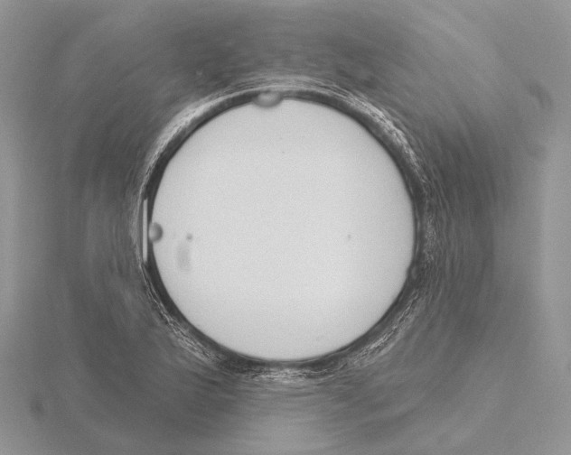 X0000115631175200912081037