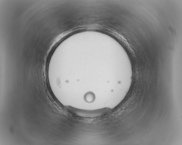 X0000115631176200912081037