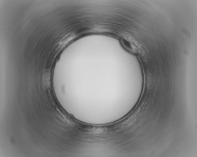 X0000115631177200912081037