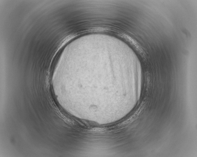 X0000115631178200912081037