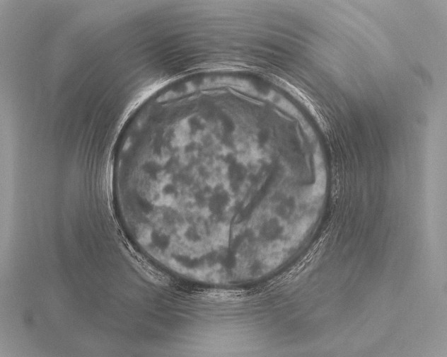 X0000115631179200912081037