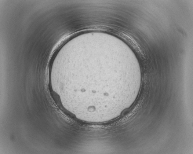 X0000115631180200912081037