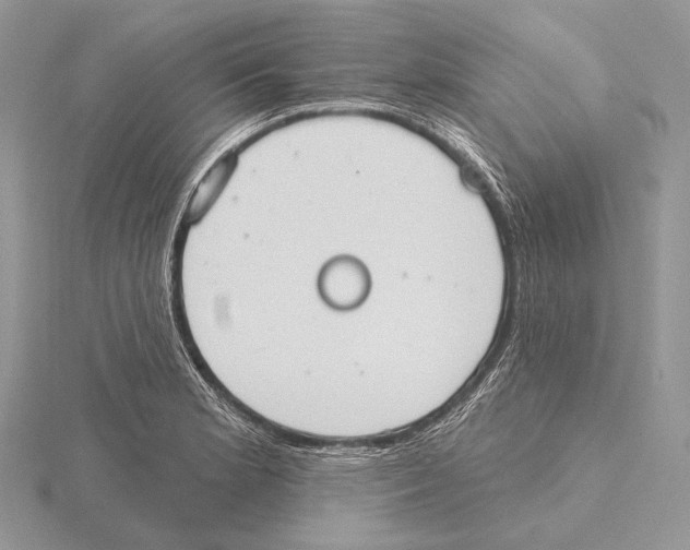 X0000115631181200912081037