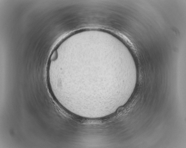 X0000115631183200912081037