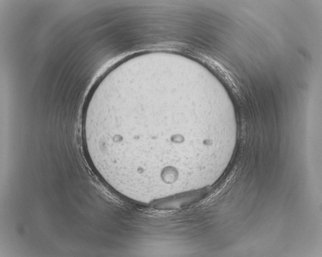 X0000115631184200912081037