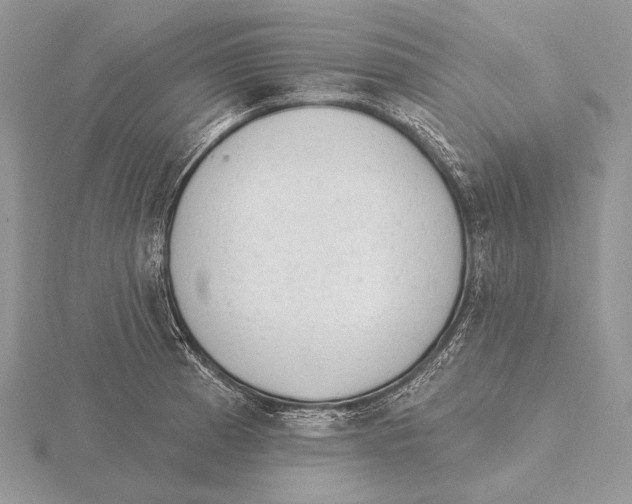 X0000115631185200912081037