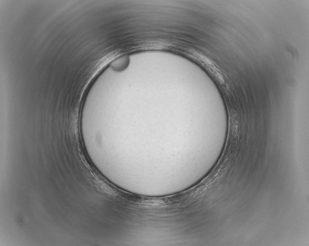 X0000115631186200912081037