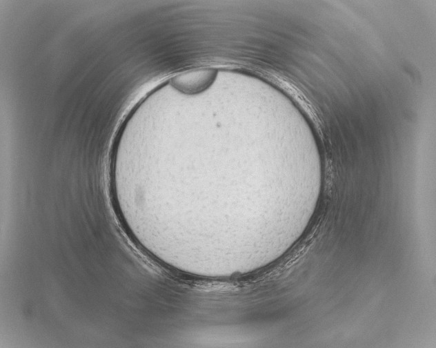 X0000115631187200912081037