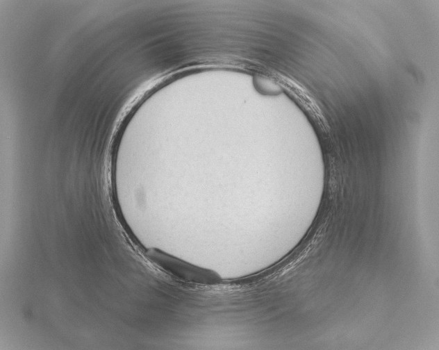 X0000115631188200912081037