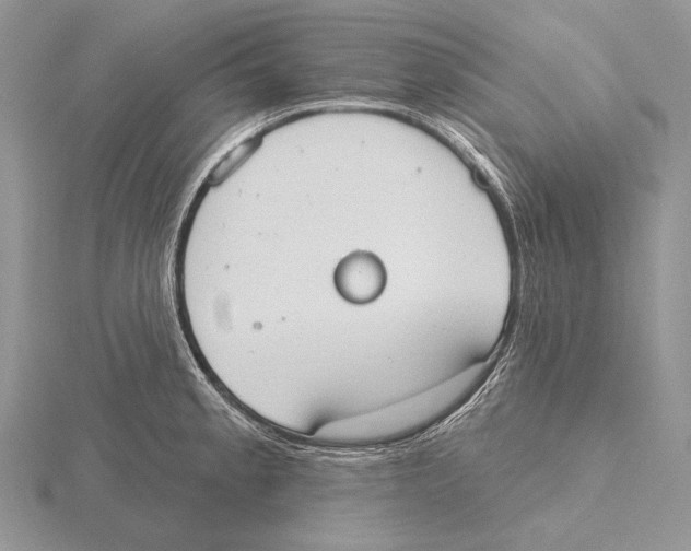 X0000115631189200912081037