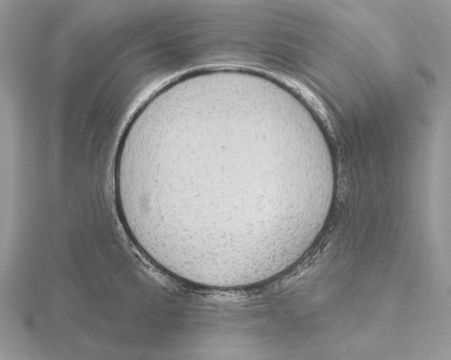 X0000115631191200912081037