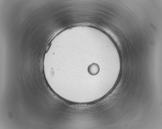 X0000115631193200912081037