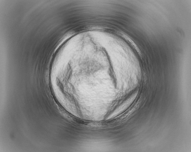 X0000115631194200912081037