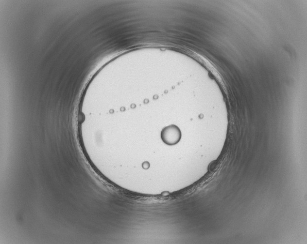 X0000115631195200912081037