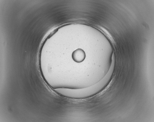 X0000115631196200912081037