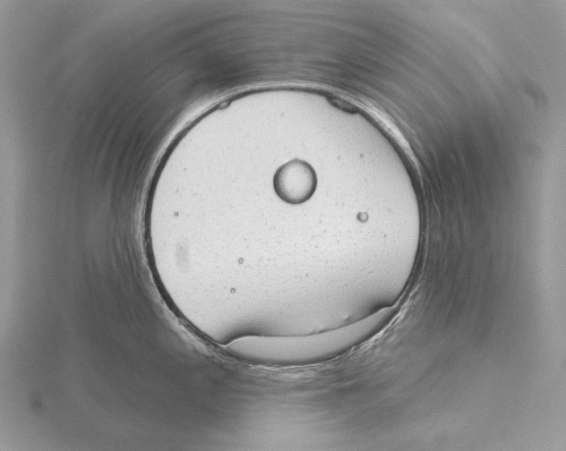 X0000115631197200912081037