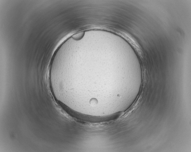 X0000115631198200912081037