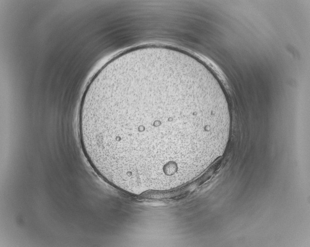 X0000115631199200912081037