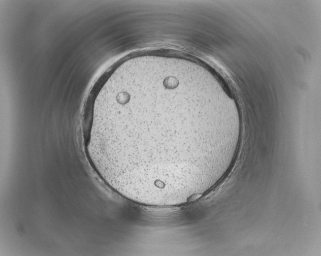 X0000115631200200912081037