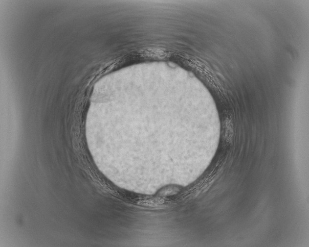 X0000115631201200912081036