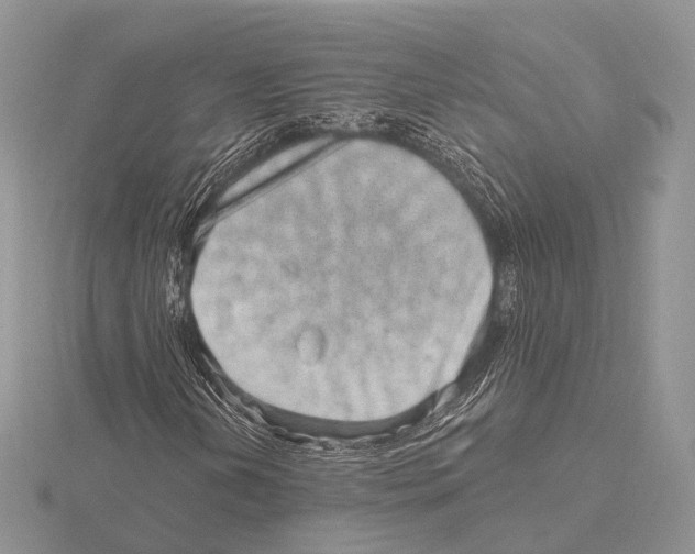 X0000115631202200912081036