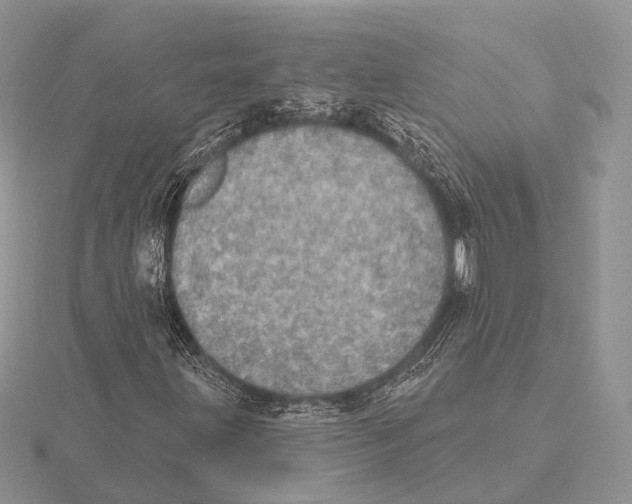 X0000115631203200912081036