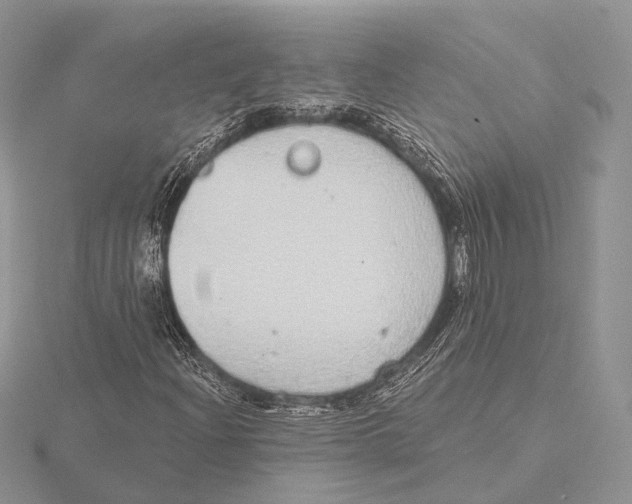 X0000115631204200912081036