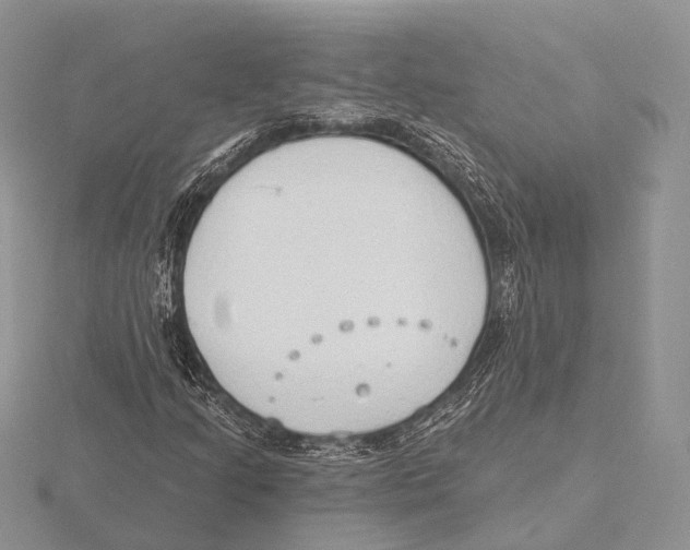 X0000115631205200912081036