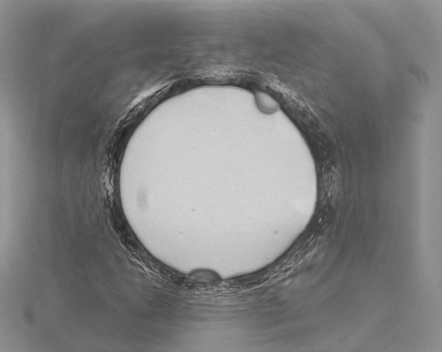 X0000115631206200912081036