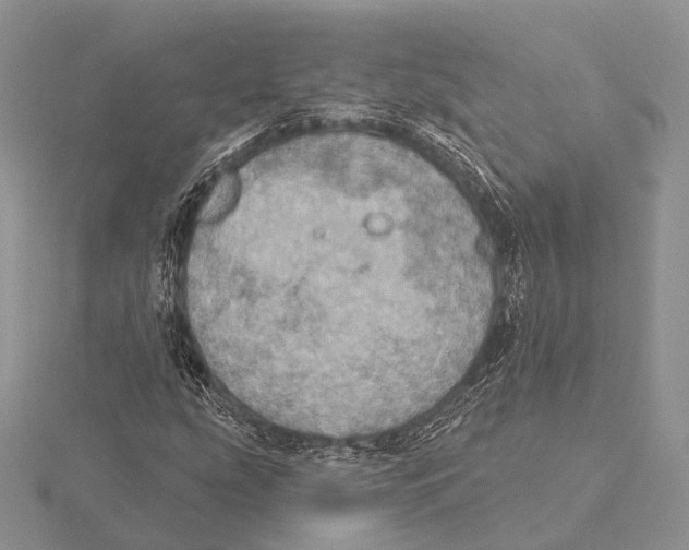 X0000115631207200912081036