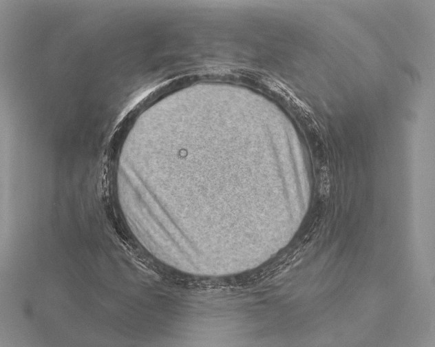 X0000115631208200912081036