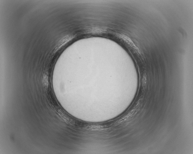 X0000115631209200912081036