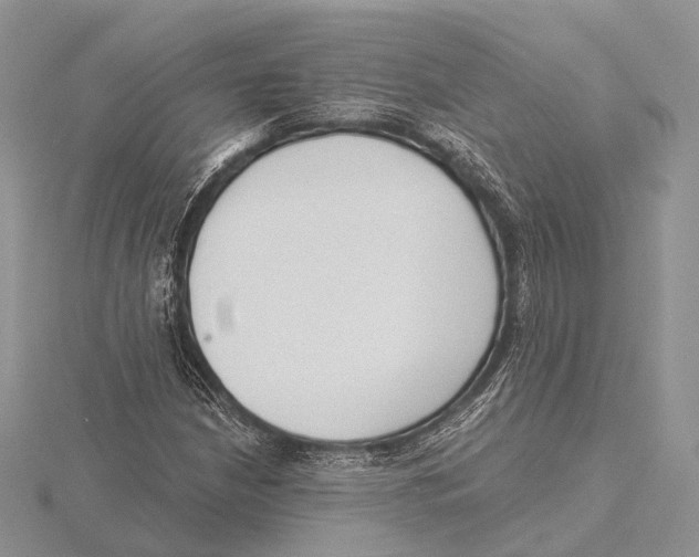 X0000115631210200912081036