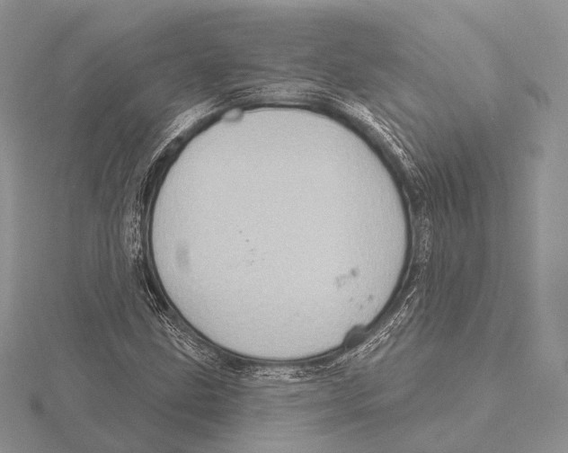 X0000115631211200912081036