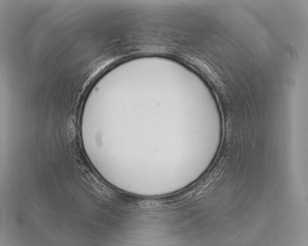 X0000115631212200912081036