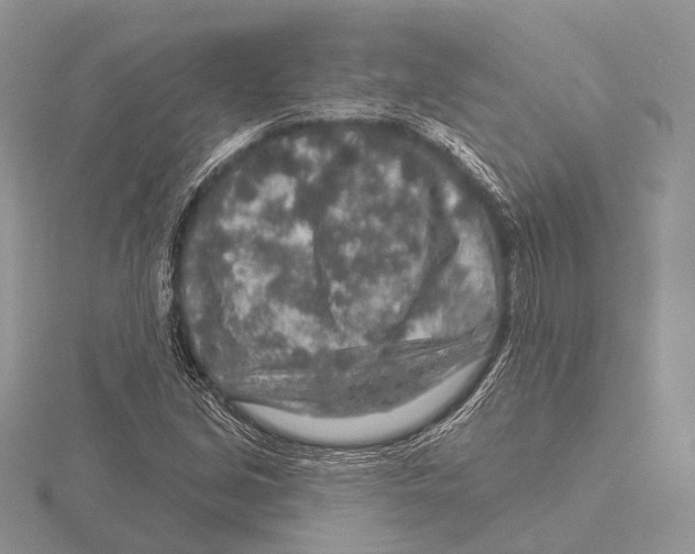 X0000115631213200912081036