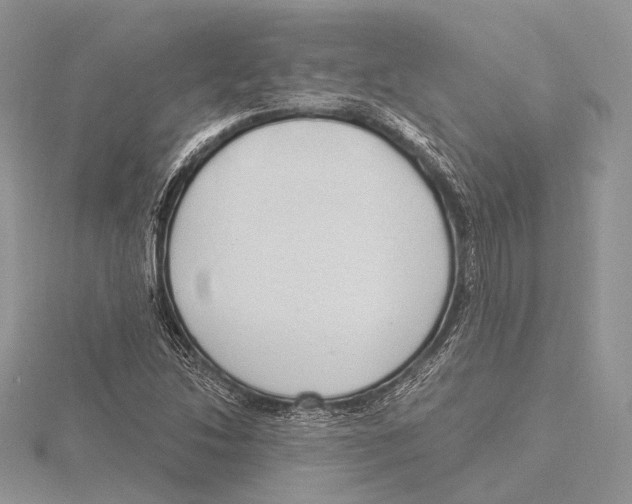 X0000115631214200912081036