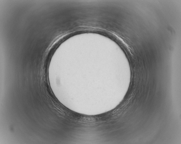 X0000115631215200912081036