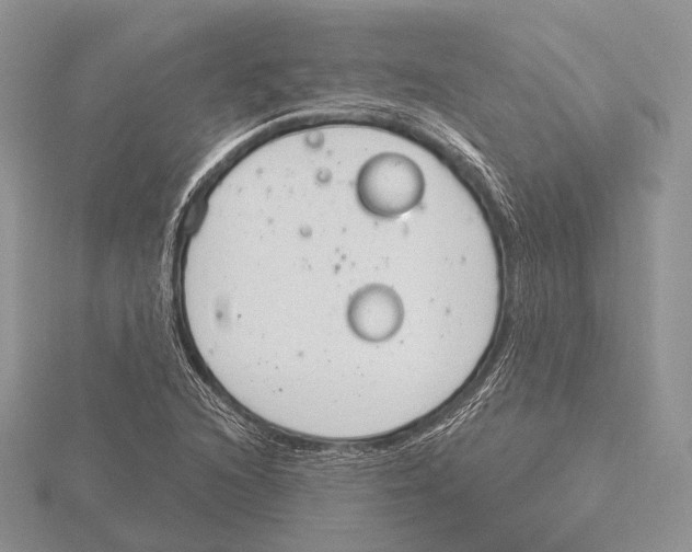 X0000115631216200912081036