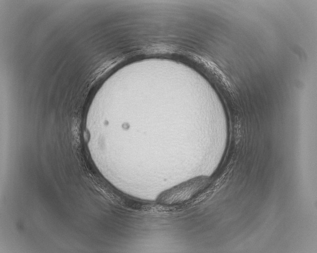 X0000115631217200912081036