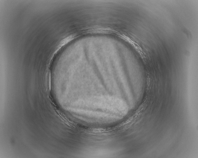 X0000115631219200912081036