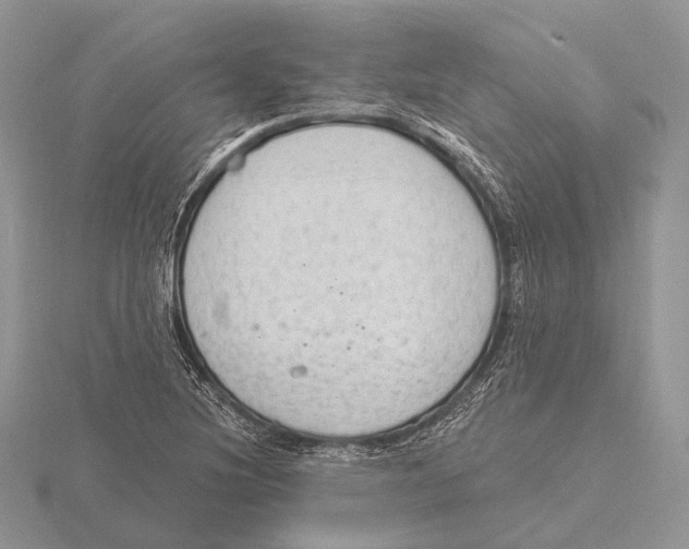 X0000115631220200912081036