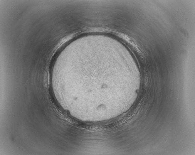 X0000115631221200912081037