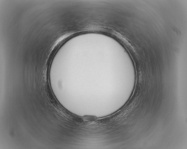 X0000115631222200912081037