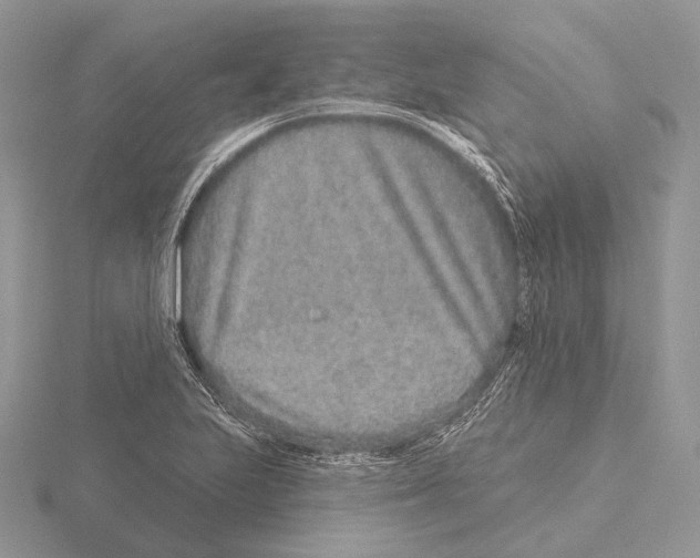 X0000115631223200912081037