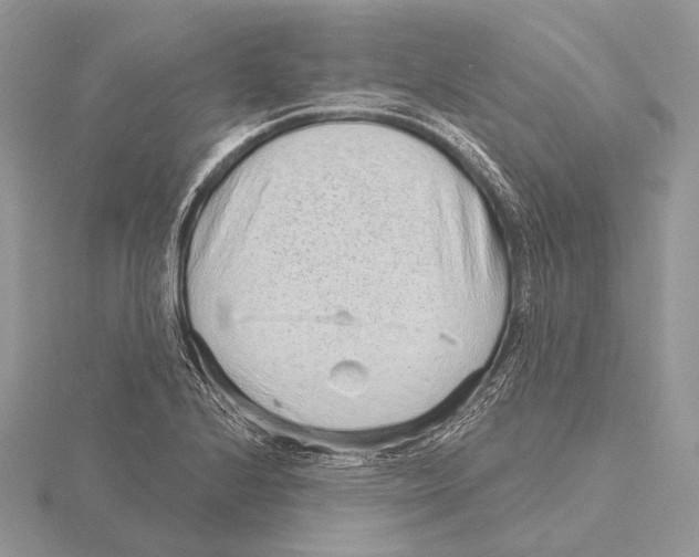 X0000115631224200912081037