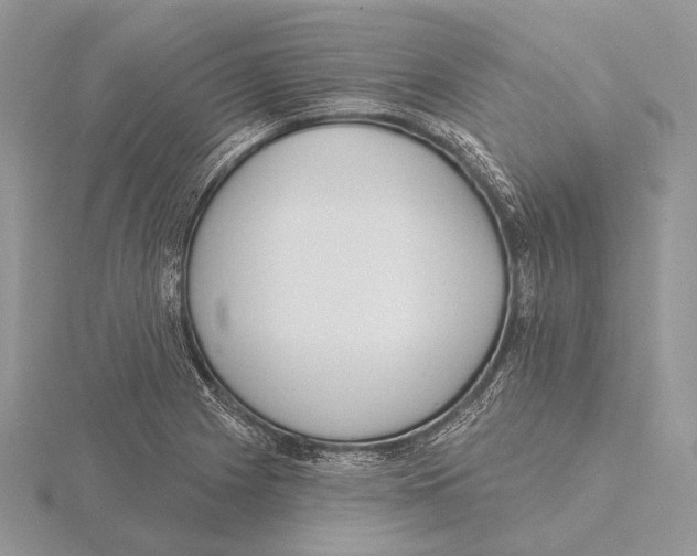 X0000115631225200912081037