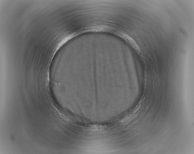 X0000115631226200912081037