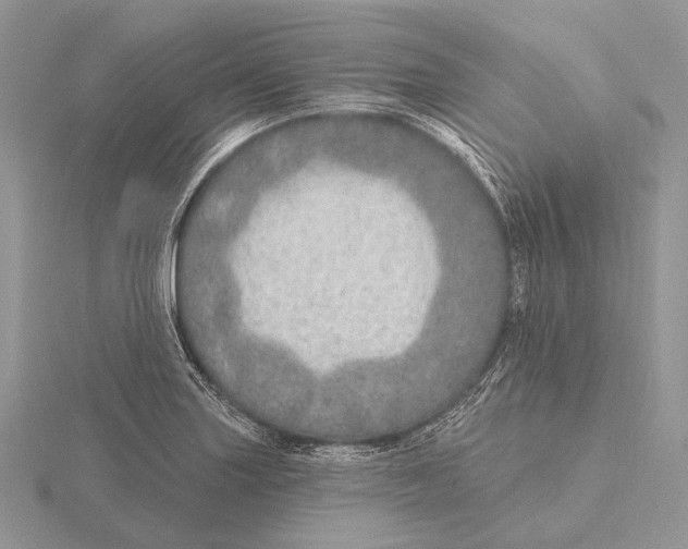 X0000115631227200912081037