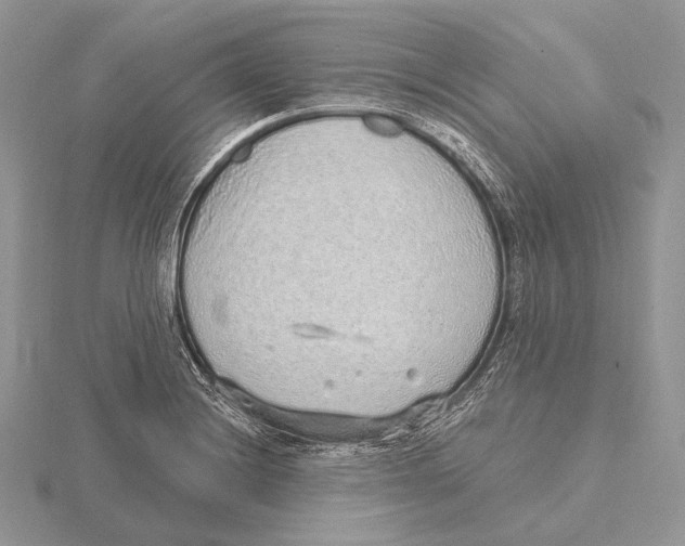 X0000115631228200912081037